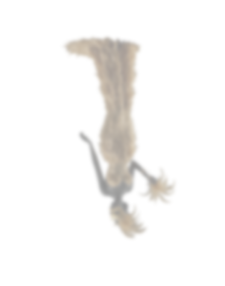 Asset 4event Asset 4event