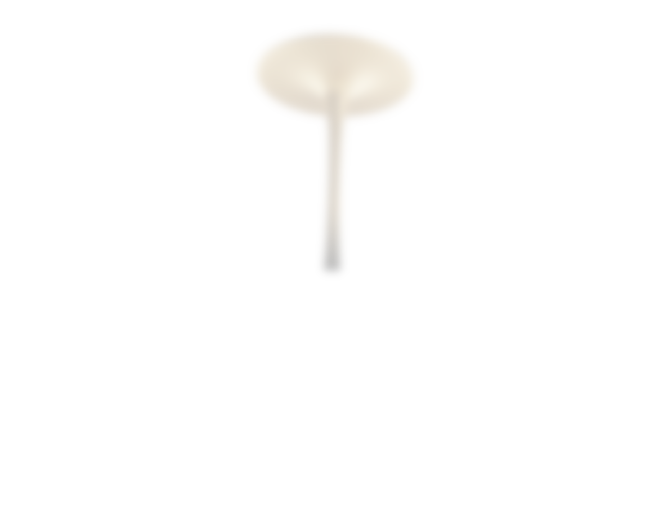 Asset 5event Asset 5event